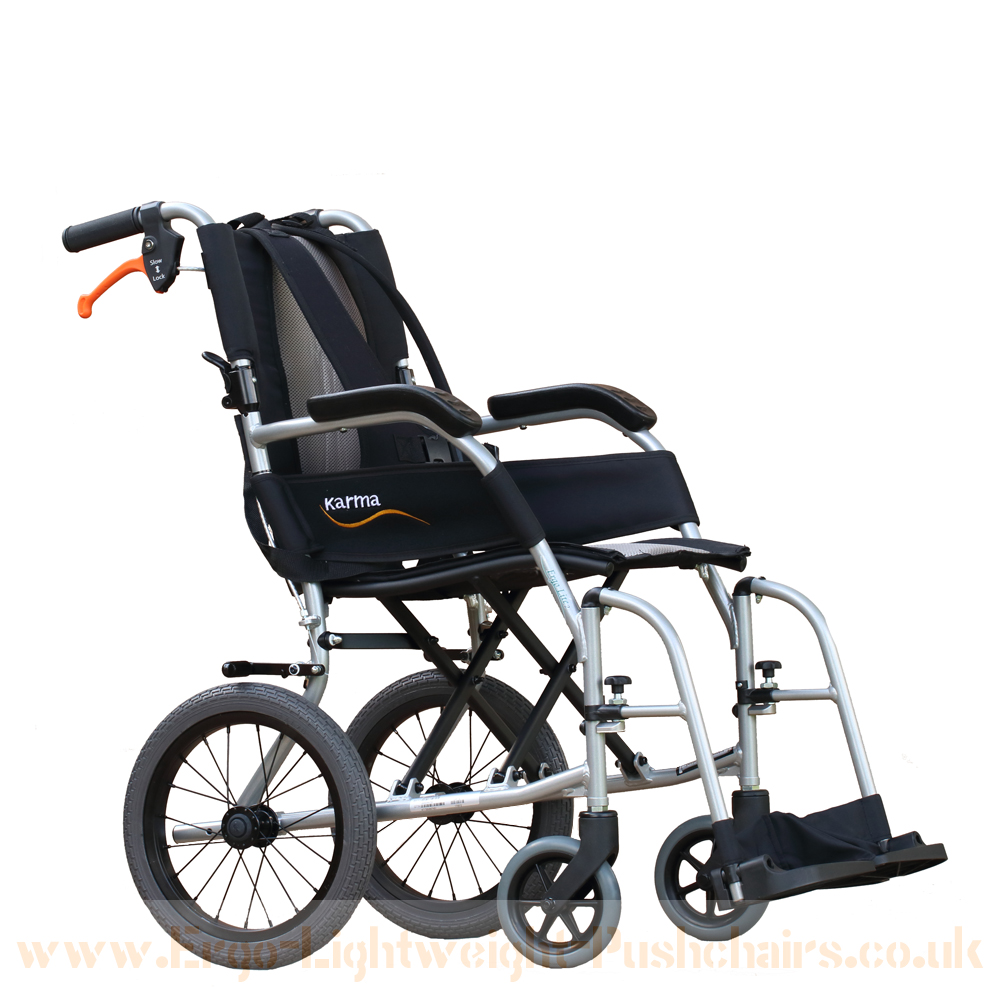 Ergo Lightweight Pushchair (inc Safety Harness) + FREE Shopping Bag