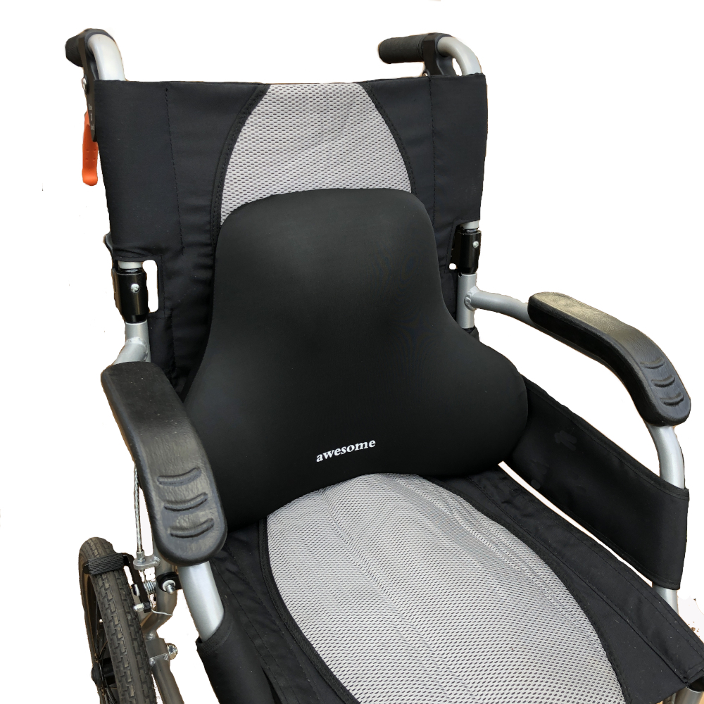 Back Cushion